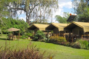 Wildebeest Eco Camp